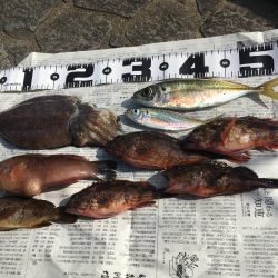 ヘチ釣りとエギング